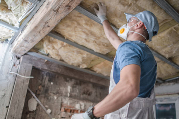 Best Commercial Insulation in Westwood Lakes, FL