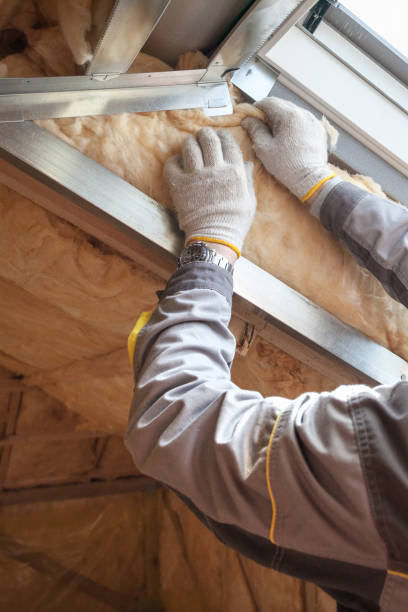 Best Blown-in Insulation in Westwood Lakes, FL