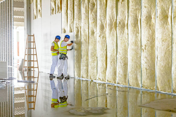 Types of Insulation We Offer in Westwood Lakes, FL